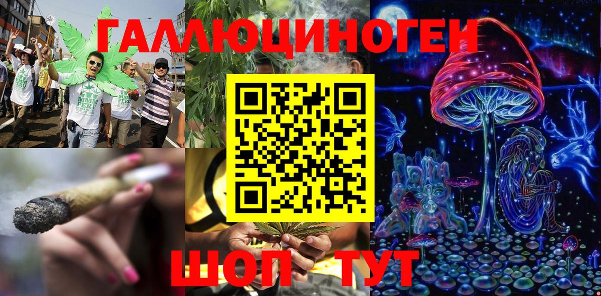 Галлюциногенные грибы Cubensis Чернушка