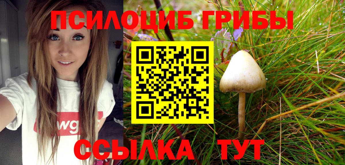 Галлюциногенные грибы прущие грибы  Галлюциногенные грибы Magic Shrooms  Вход с VPN  Чернушка 
